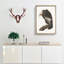Californian Vulture by John Audubon - Picture Frame Painting Print-55513802-55513803
