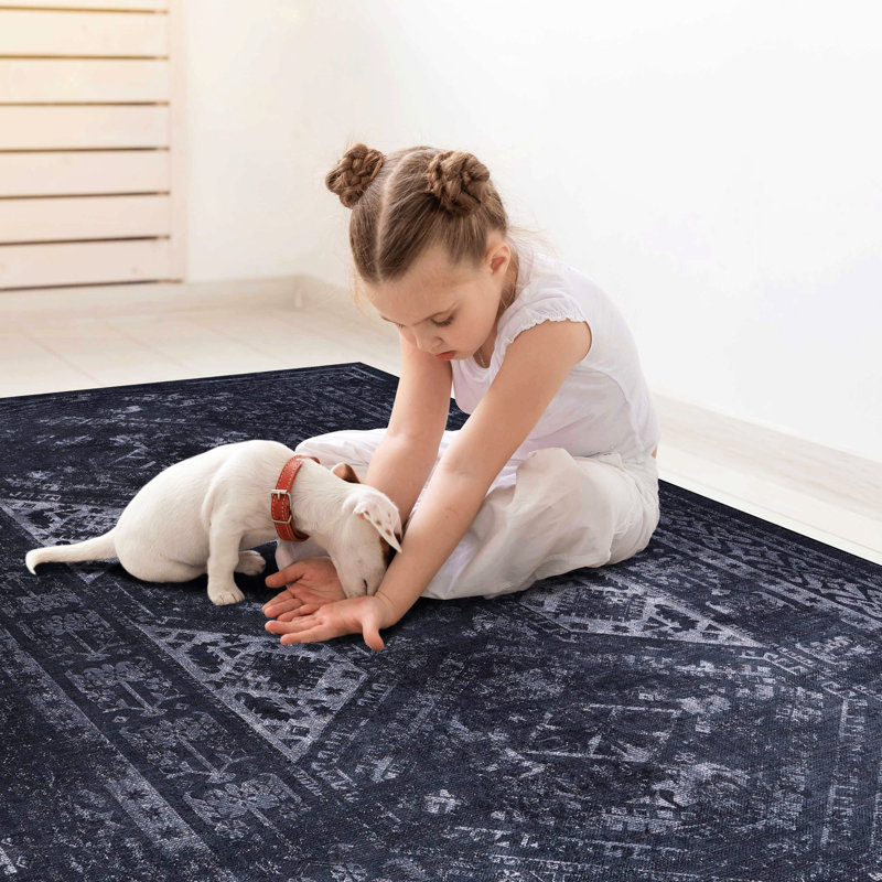 Washable 5X8 Area Rug, Low-Pile Characteristic, Non-Slip, Non-Shedding, Foldable, & Pet Considerate - Living Room, Bedroom, Kitchen, Dining Room Mat Washable, Design, For