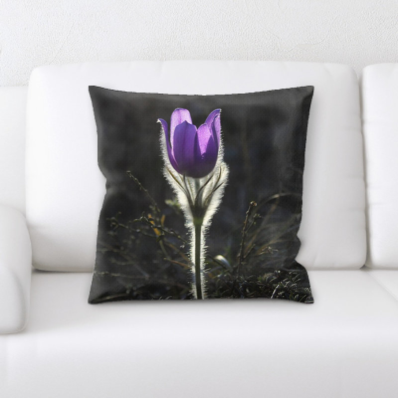 Coussin pasqueflower