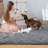 Westcliffe Soft Fluffy Grey Indoor / Outdoor Machine Washable Area Rug-988889855