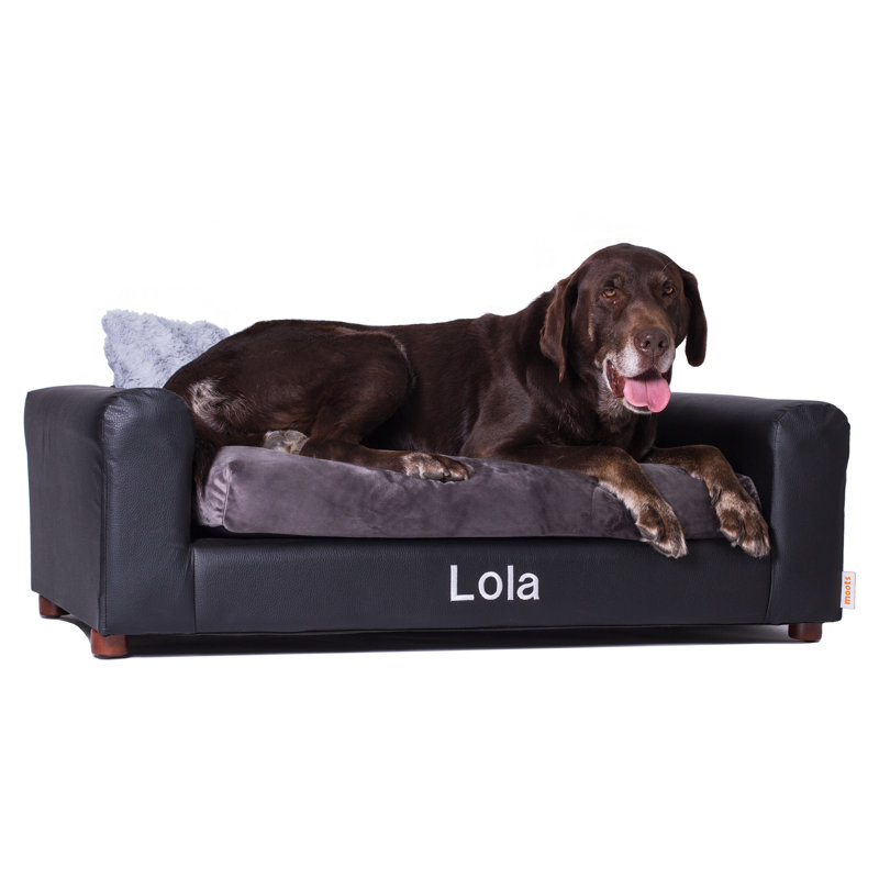 Canapé pour chien en similicuir Yucatan, Grand (H 13 po x l 40 po x P 23 po), Oui, Gris anthracite