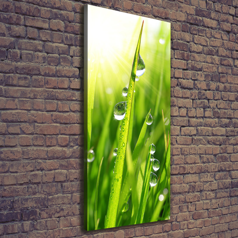 Blades Of Grass - Wrapped Canvas Print