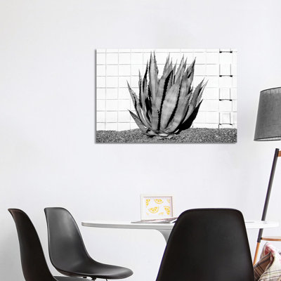Agave by Philippe Hugonnard - Wrapped Canvas Print