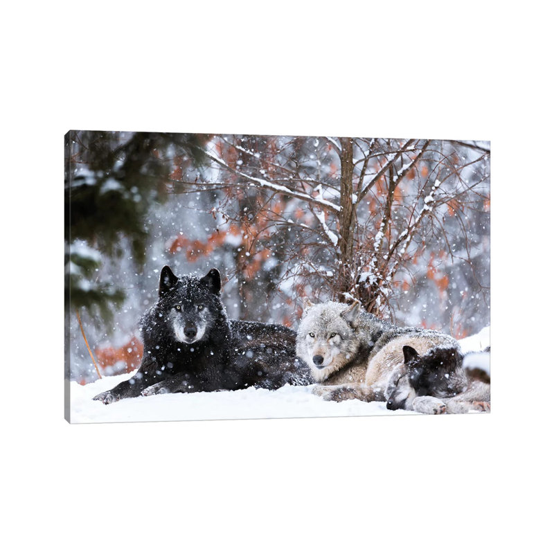 Family Portrait by Eiji Itoyama - Wrapped Canvas Gallery-Wrapped Canvas Giclée, 66.04 cm H x 45.72 cm W x 1.91 cm D