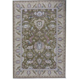 Wool Oriental Area Rug in Green