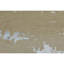 Area Rug in Ivory-83413415