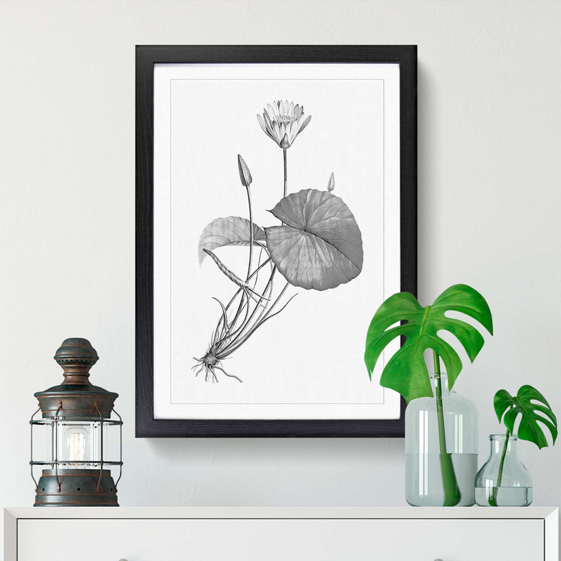 Egyptian Lotus Flower - Picture Frame Painting Print, 36cm H x 27cm W x 2cm D, Black Framed