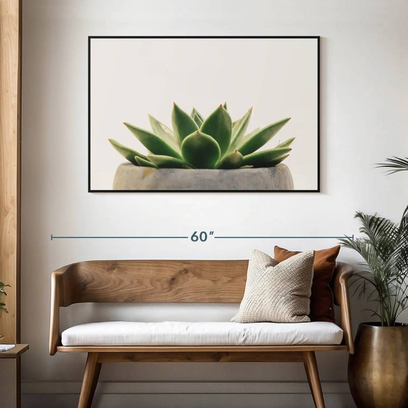 Plante grasse en pierre, 46 po x 31 po, Cadre flottant noir