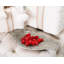 Song Bird Decorative Tray