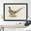 Ring - Necked Pheasant by Von Wright - Framed Print-48234789-48234790