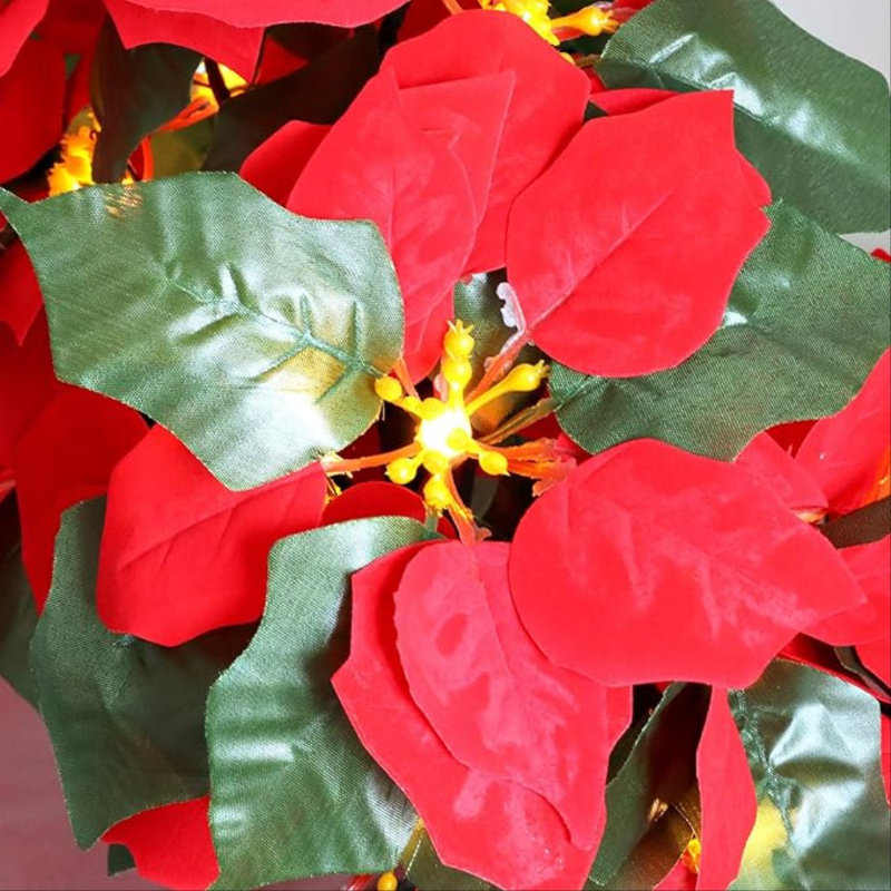 Veilleuse à poinsettias
