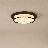 Aaru 2-Light Ceiling Light in Matte Black-222105147