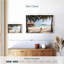 Gillard Paradise Escape-108128030