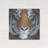 " Tiger Gaze " by Britt Hallowell-1277844652