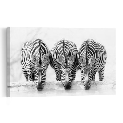 Three Zebras Drinking Contemporary Zebra Wall Art Print 1 Piece Wrapped Canvas Wall Art