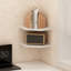 Presciliano 2 Piece Hexagon Bracket Shelf-1855172507