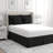 Polyester Sham Set-839957463