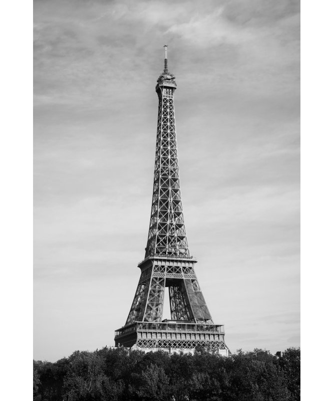 Wrapped Canvas Print, 121.92 cm H x 81.28 cm W