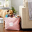 Bac pour animaux Paw-432920652-432920653
