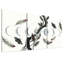 «Moths and Moon Phases on Tw torsed Branch», art mural sur toile-665861010