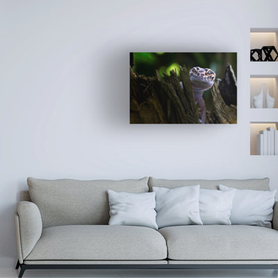 Art sur toile, Fauzan Maududdin