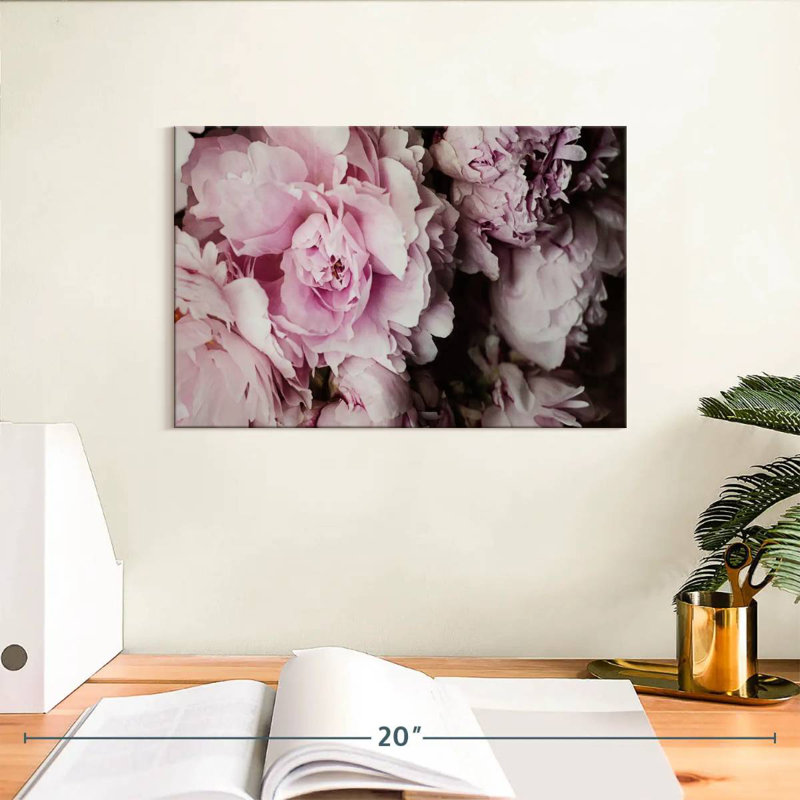 Pivoines Harnek Galore II, H 8 po x l 12 po