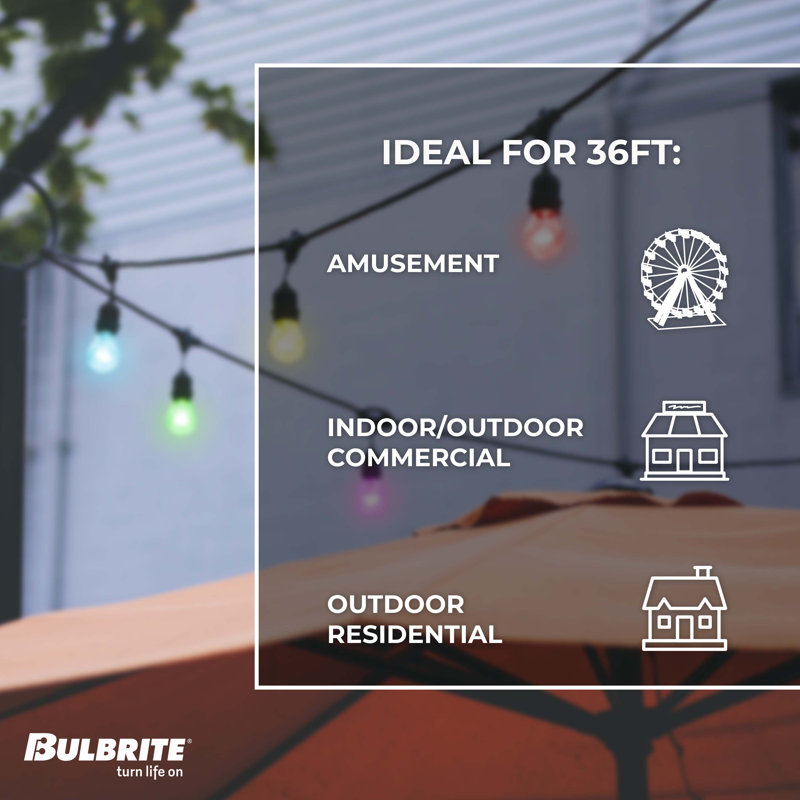36-ft Outdoor Smart LED 18 - Bulb Standard String Light (End to End Connectable)