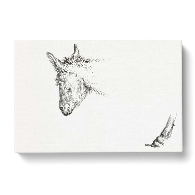 Sketch Of A Donkey by Jean Bernard - Wrapped Canvas Print, 35cm H x 50cm W x 3cm D