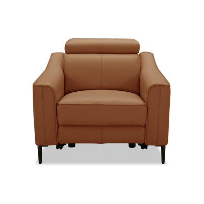 Anisia Power Recliner