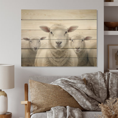 " White Minimalist Whie Sheeps "