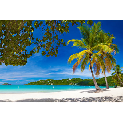 Magens Bay, St. Thomas, US Virgin Islands by Cdwheatley - No Frame Print on Canvas