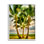 «Three Palm Trees On Beach» encadré sur bois par Dennis Frates, peinture