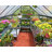 Palram - Canopia Hybrid Walk-In Hobby Polycarbonate Aluminum Frame Greenhouse Kit with Roof Vent-356792576-295826716