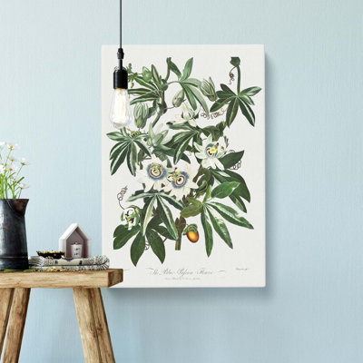 Bluecrown Passionflowers by R.J. Thornton - Wrapped Canvas