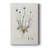 Bellflower Study -Custom Wrapped Gallery Cavas-959446841