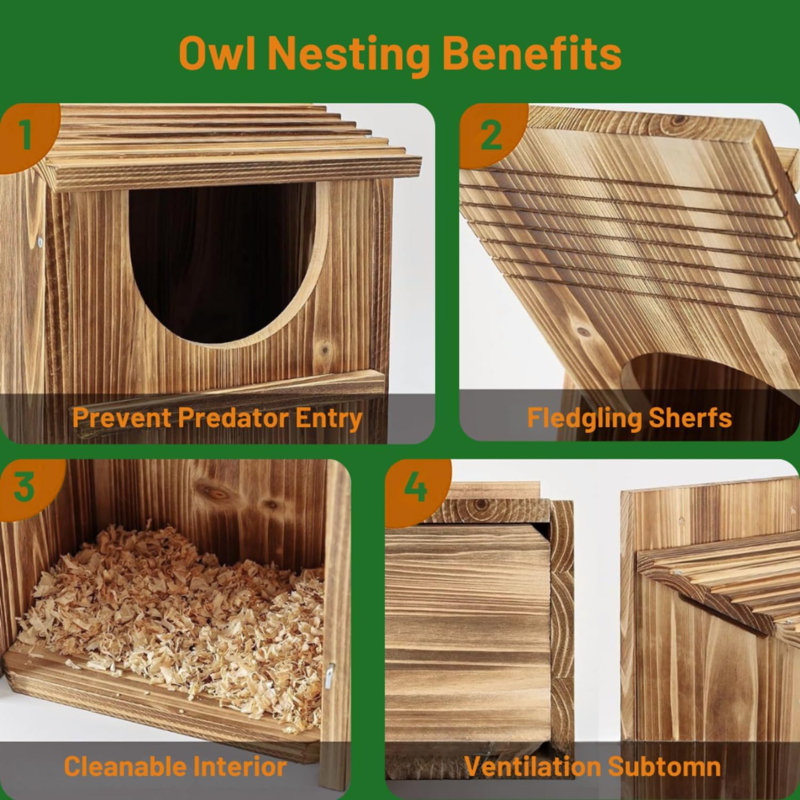 Boîte de nidification en bois Owl Haven