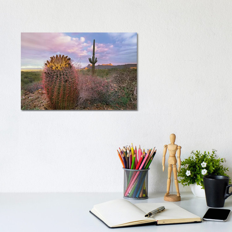 Saguaro And Giant Barrel Cactus With Panther And Safford Peaks In Distance, Saguaro National Park, Arizona - Wrapped Canvas Print