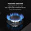 Klarstein 6200 Watt Gas Torch