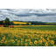 Pastoral Countryside IV by Colby Chester - Photograph Print-1346401207-1439938818
