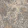 Tapis beige Darleen