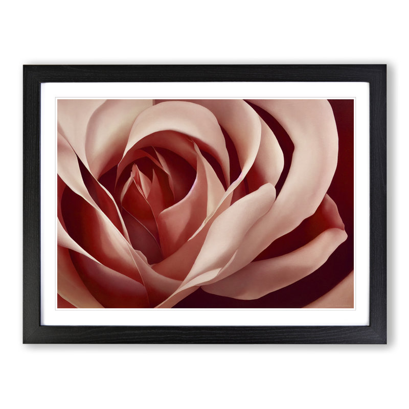Unforgettable Rose Flower - Framed Print, Black, 46cm H x 64cm W x 2cm D