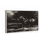 Velocity Unbound Print by Oliver Gal-325638764-480133901
