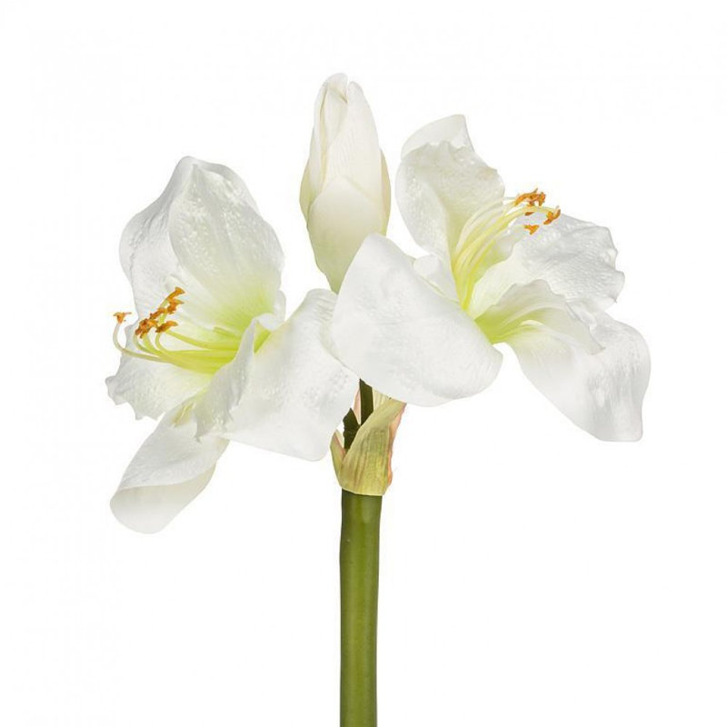 Amaryllis avec 3 fleurs artificielles, Blanc