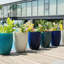 Pot de fleurs-1282587175