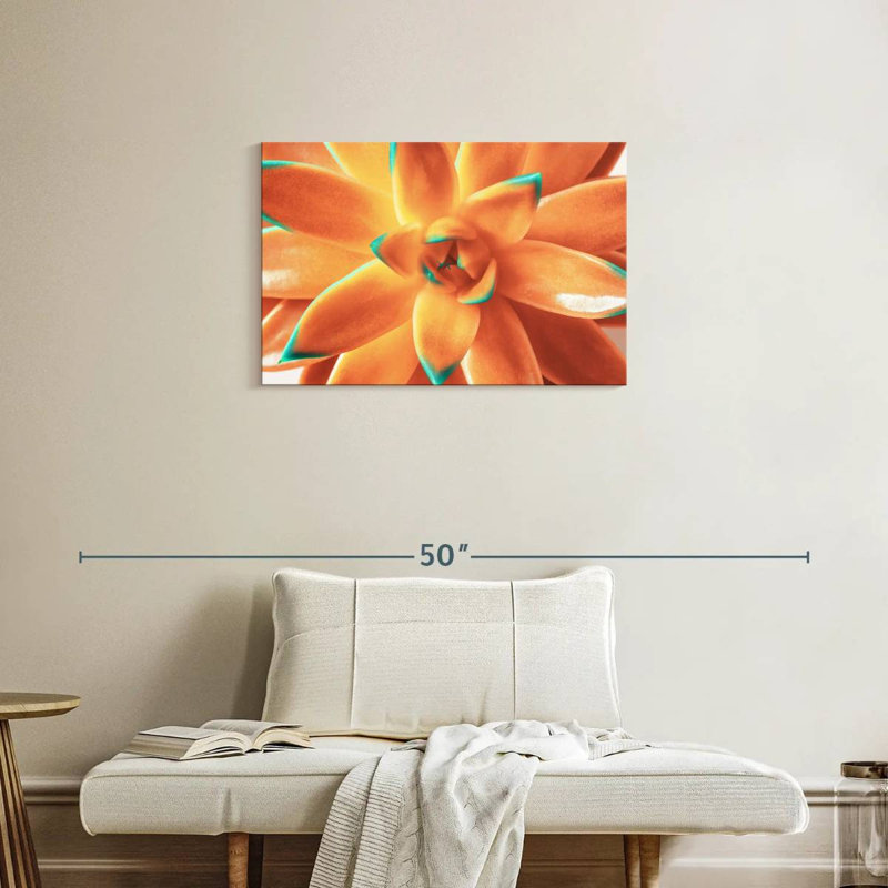 Plante grasse orange Harnek, H 20 po x l 30 po