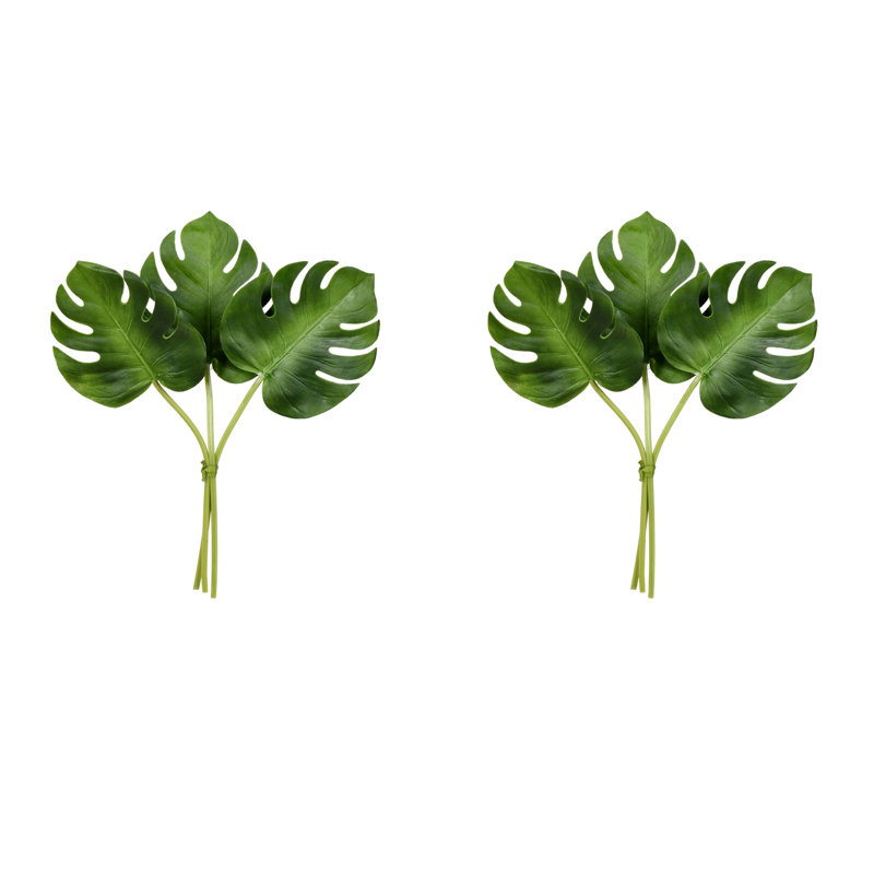 Vaporisateur à feuilles divisé Phile