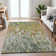 Machine Washable Indoor/Outdoor Amanda ACN2129 Abstract Rug