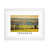White Framed selected