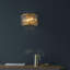 Annalysa Flush Mounted Sconce-91291145