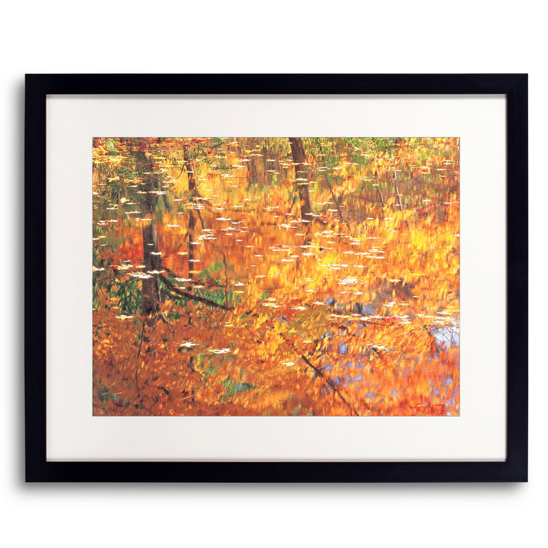 Autumn Reflection In Pond Print, Black Framed Paper, 31.25" H x 40.25" W x 0.88" D, White
